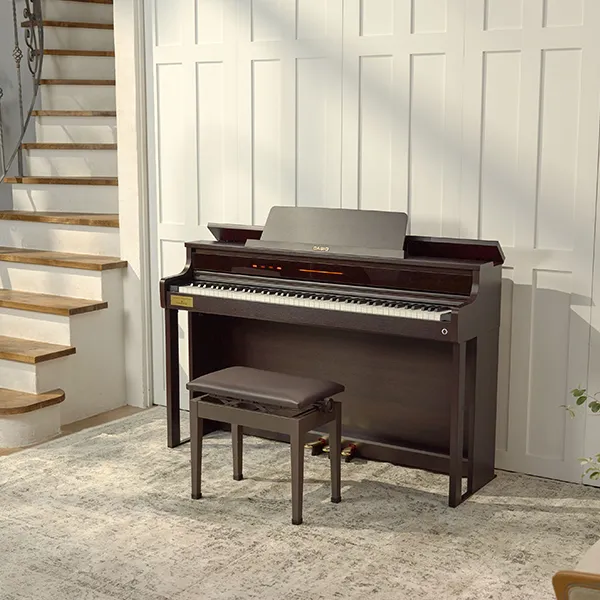 Music City – Tổng Kho Piano, Guitar, Organ | Dịch Vụ Giáo Dục Âm Nhạc