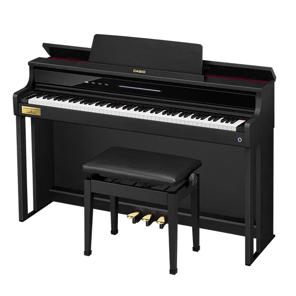 Music City – Tổng Kho Piano, Guitar, Organ | Dịch Vụ Giáo Dục Âm Nhạc