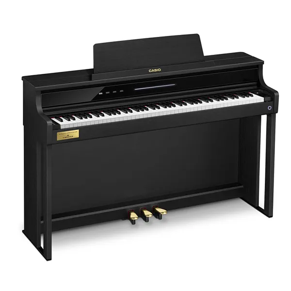Music City – Tổng Kho Piano, Guitar, Organ | Dịch Vụ Giáo Dục Âm Nhạc