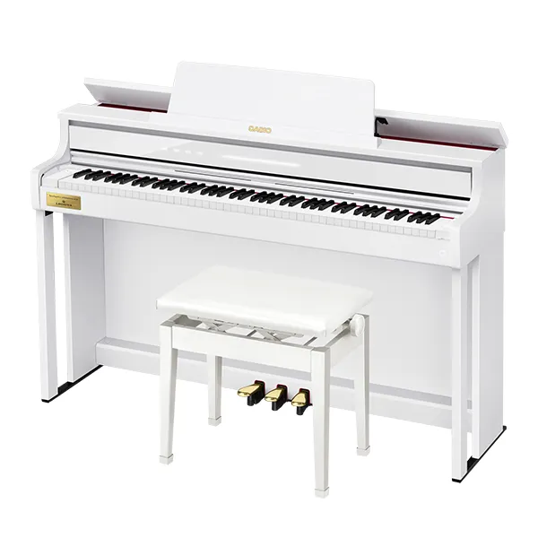 Music City – Tổng Kho Piano, Guitar, Organ | Dịch Vụ Giáo Dục Âm Nhạc