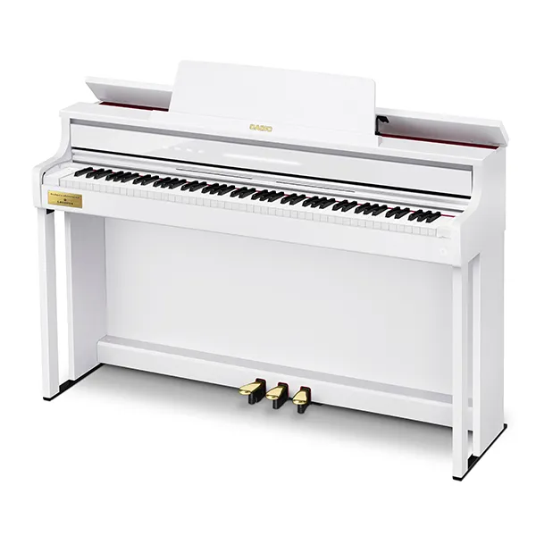 Music City – Tổng Kho Piano, Guitar, Organ | Dịch Vụ Giáo Dục Âm Nhạc