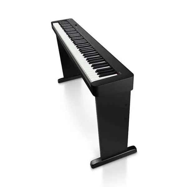 Music City – Tổng Kho Piano, Guitar, Organ | Dịch Vụ Giáo Dục Âm Nhạc