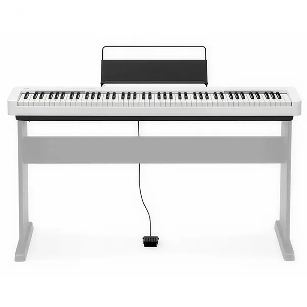 Music City – Tổng Kho Piano, Guitar, Organ | Dịch Vụ Giáo Dục Âm Nhạc