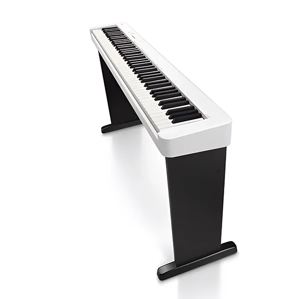 Music City – Tổng Kho Piano, Guitar, Organ | Dịch Vụ Giáo Dục Âm Nhạc