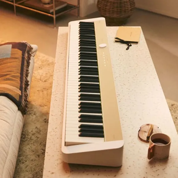 Music City – Tổng Kho Piano, Guitar, Organ | Dịch Vụ Giáo Dục Âm Nhạc