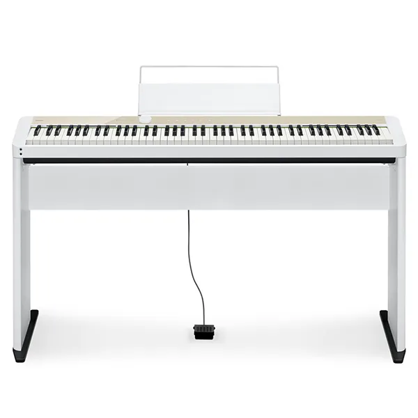 Music City – Tổng Kho Piano, Guitar, Organ | Dịch Vụ Giáo Dục Âm Nhạc