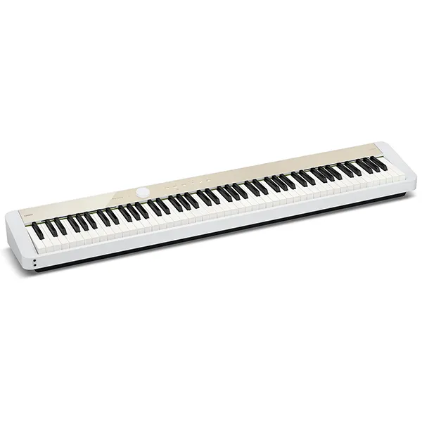 dan-piano-casio-px-s1100-musiccity