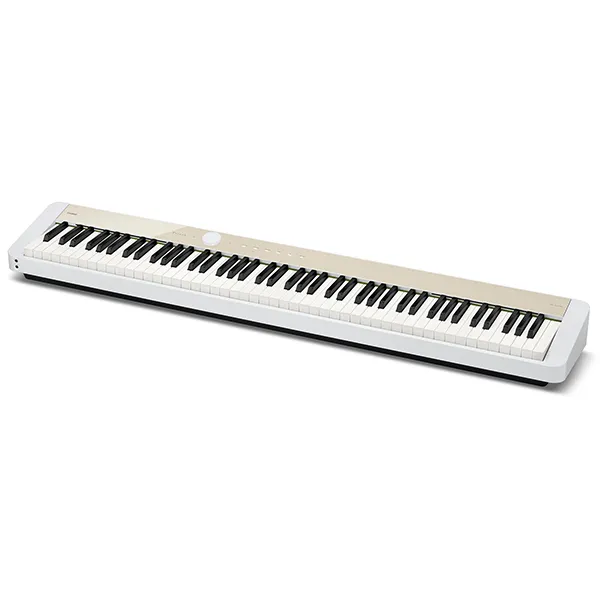 dan-piano-casio-px-s1100-musiccity