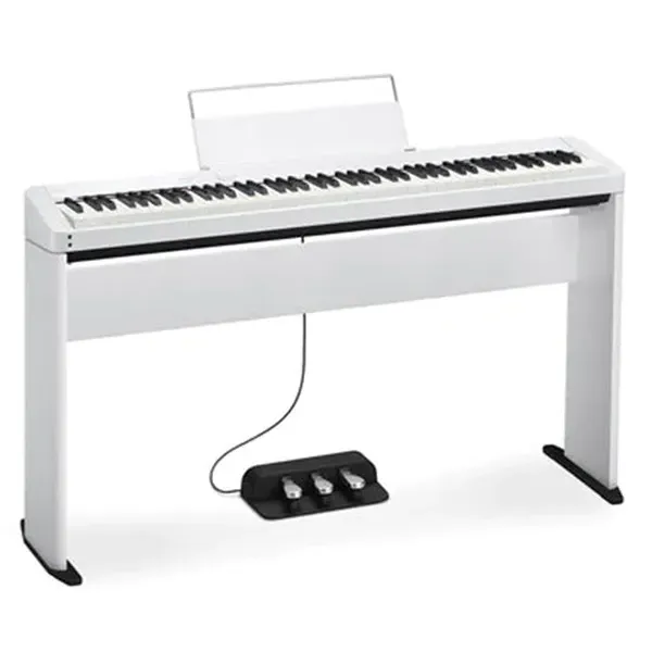 Music City – Tổng Kho Piano, Guitar, Organ | Dịch Vụ Giáo Dục Âm Nhạc