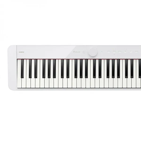 Music City – Tổng Kho Piano, Guitar, Organ | Dịch Vụ Giáo Dục Âm Nhạc