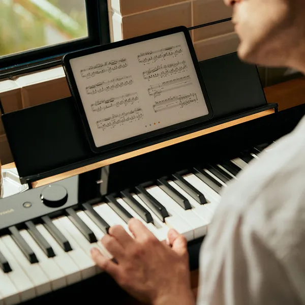 Music City – Tổng Kho Piano, Guitar, Organ | Dịch Vụ Giáo Dục Âm Nhạc