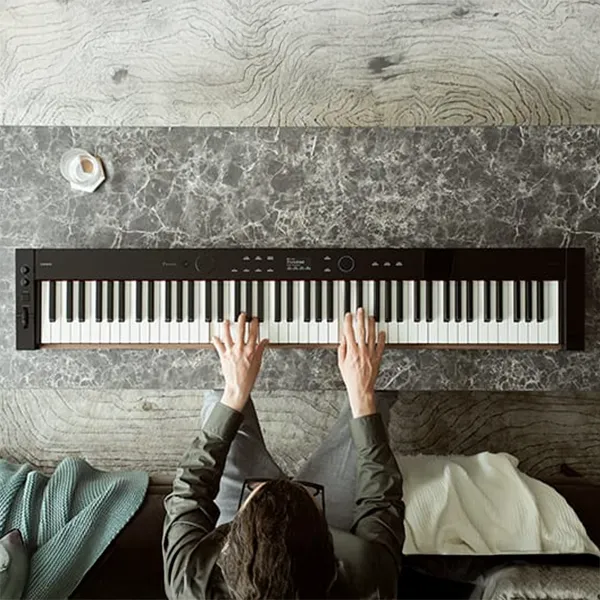 Music City – Tổng Kho Piano, Guitar, Organ | Dịch Vụ Giáo Dục Âm Nhạc