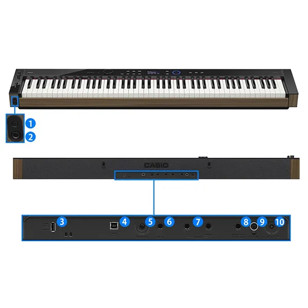 Music City – Tổng Kho Piano, Guitar, Organ | Dịch Vụ Giáo Dục Âm Nhạc