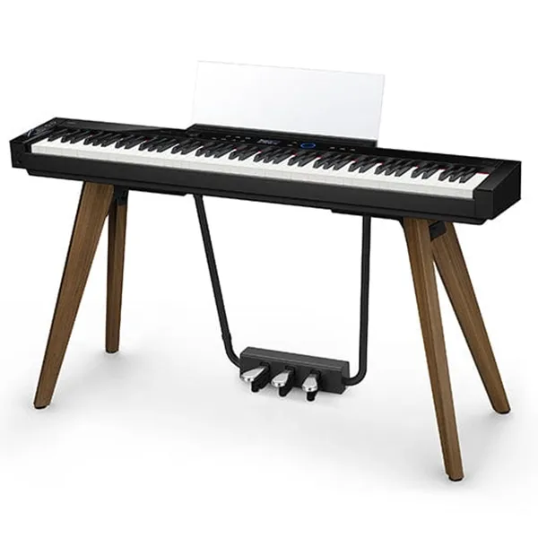 Music City – Tổng Kho Piano, Guitar, Organ | Dịch Vụ Giáo Dục Âm Nhạc