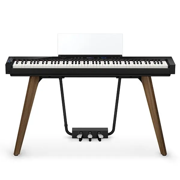 Music City – Tổng Kho Piano, Guitar, Organ | Dịch Vụ Giáo Dục Âm Nhạc
