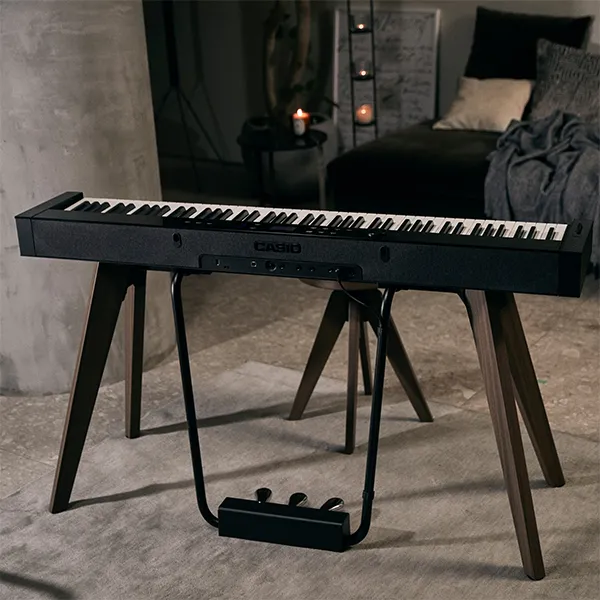 Music City – Tổng Kho Piano, Guitar, Organ | Dịch Vụ Giáo Dục Âm Nhạc