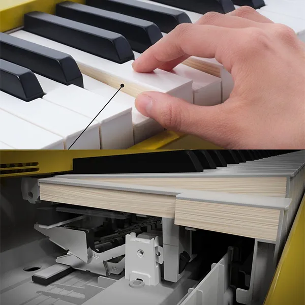 Music City – Tổng Kho Piano, Guitar, Organ | Dịch Vụ Giáo Dục Âm Nhạc