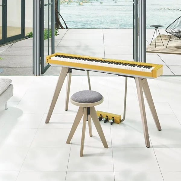 Music City – Tổng Kho Piano, Guitar, Organ | Dịch Vụ Giáo Dục Âm Nhạc