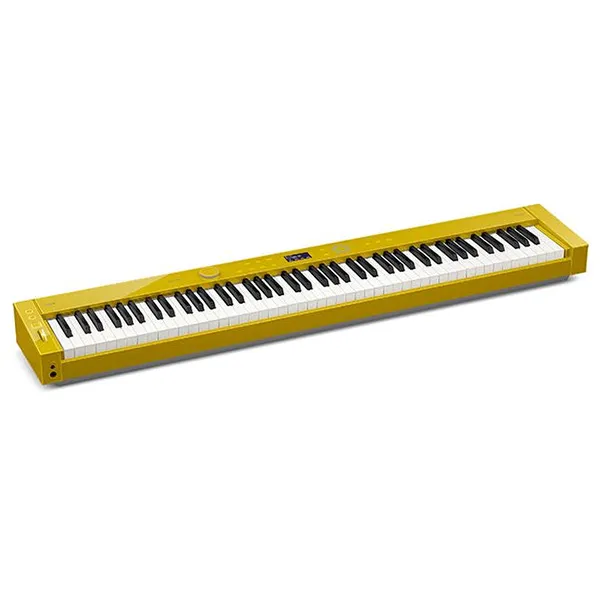 Music City – Tổng Kho Piano, Guitar, Organ | Dịch Vụ Giáo Dục Âm Nhạc