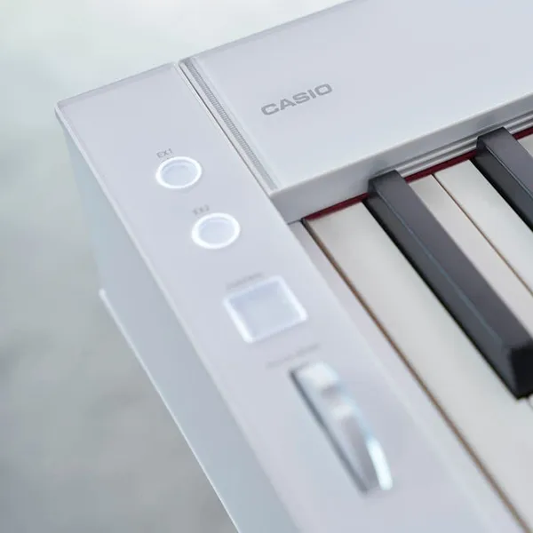 Music City – Tổng Kho Piano, Guitar, Organ | Dịch Vụ Giáo Dục Âm Nhạc