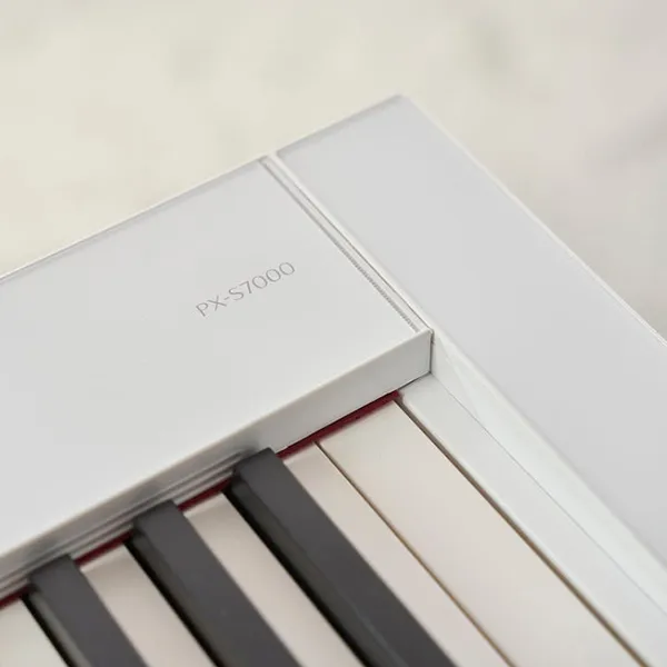 Music City – Tổng Kho Piano, Guitar, Organ | Dịch Vụ Giáo Dục Âm Nhạc