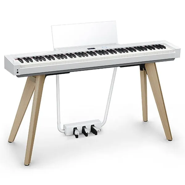 Music City – Tổng Kho Piano, Guitar, Organ | Dịch Vụ Giáo Dục Âm Nhạc