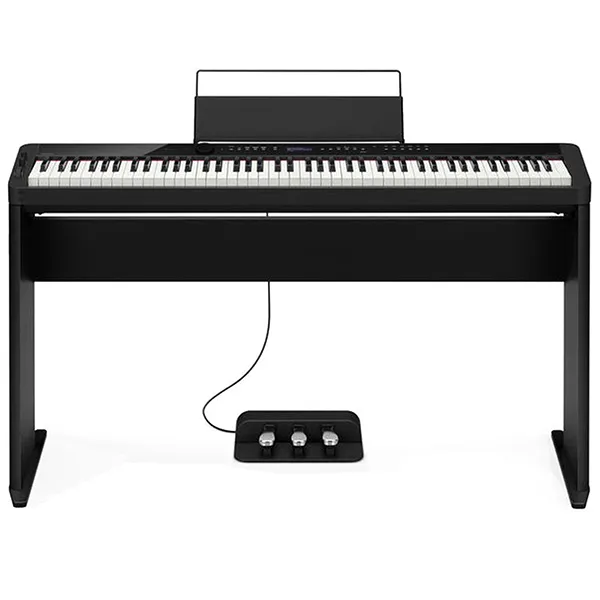 Music City – Tổng Kho Piano, Guitar, Organ | Dịch Vụ Giáo Dục Âm Nhạc