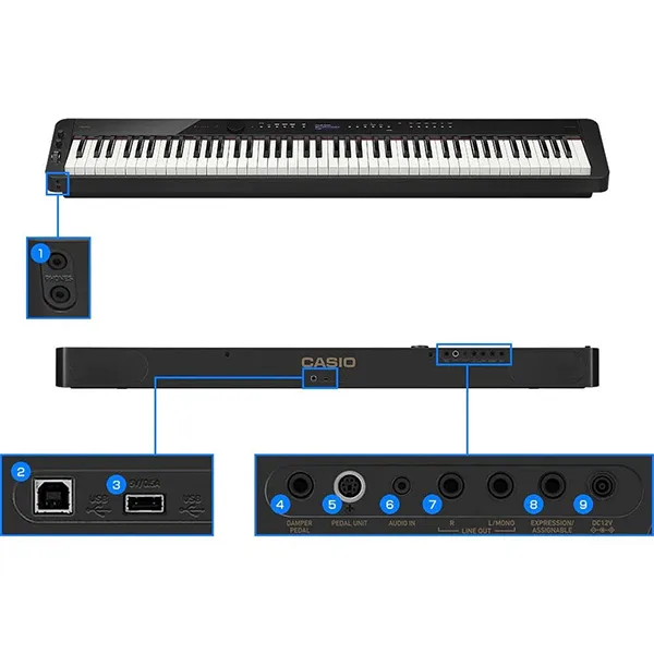 Music City – Tổng Kho Piano, Guitar, Organ | Dịch Vụ Giáo Dục Âm Nhạc