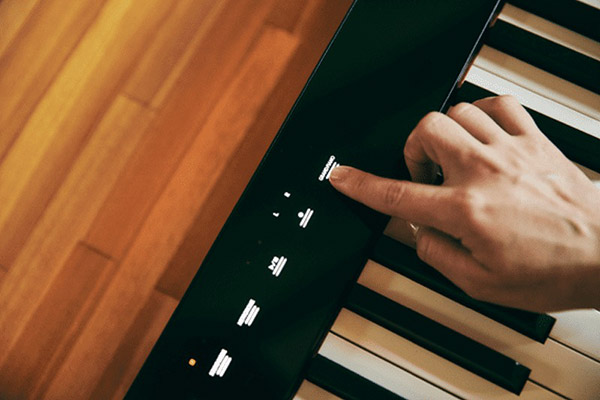 Music City – Tổng Kho Piano, Guitar, Organ | Dịch Vụ Giáo Dục Âm Nhạc