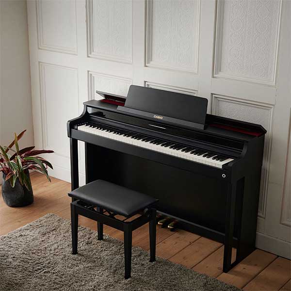 Music City – Tổng Kho Piano, Guitar, Organ | Dịch Vụ Giáo Dục Âm Nhạc