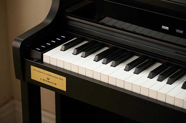 Music City – Tổng Kho Piano, Guitar, Organ | Dịch Vụ Giáo Dục Âm Nhạc