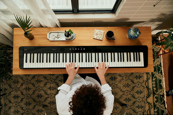Music City – Tổng Kho Piano, Guitar, Organ | Dịch Vụ Giáo Dục Âm Nhạc