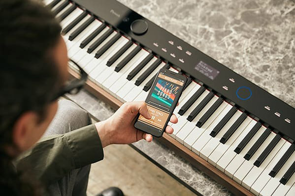 Music City – Tổng Kho Piano, Guitar, Organ | Dịch Vụ Giáo Dục Âm Nhạc