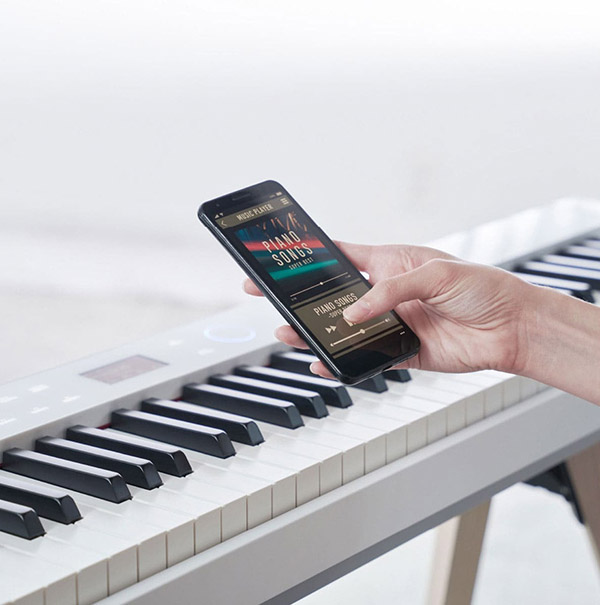 Music City – Tổng Kho Piano, Guitar, Organ | Dịch Vụ Giáo Dục Âm Nhạc