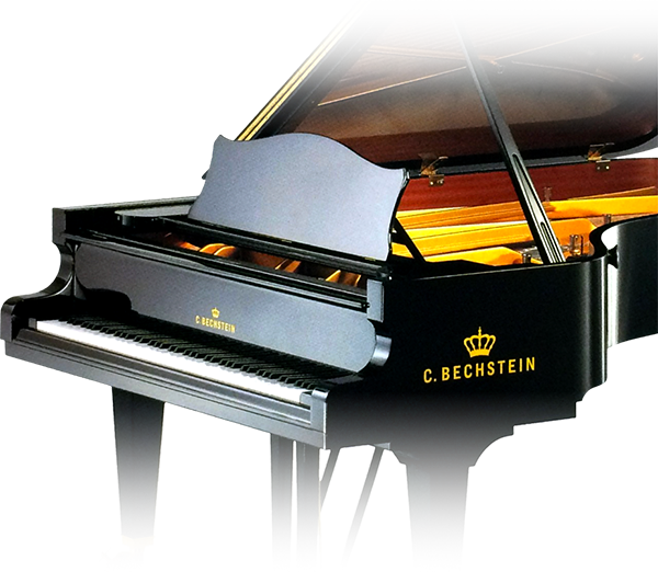 Music City – Tổng Kho Piano, Guitar, Organ | Dịch Vụ Giáo Dục Âm Nhạc