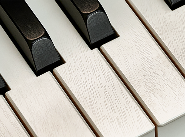 Music City – Tổng Kho Piano, Guitar, Organ | Dịch Vụ Giáo Dục Âm Nhạc