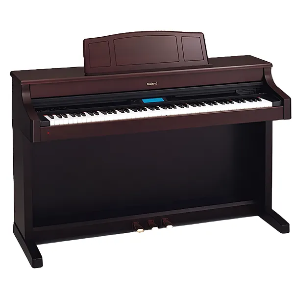 Music City – Tổng Kho Piano, Guitar, Organ | Dịch Vụ Giáo Dục Âm Nhạc
