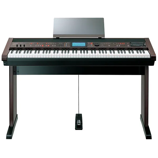 Music City – Tổng Kho Piano, Guitar, Organ | Dịch Vụ Giáo Dục Âm Nhạc