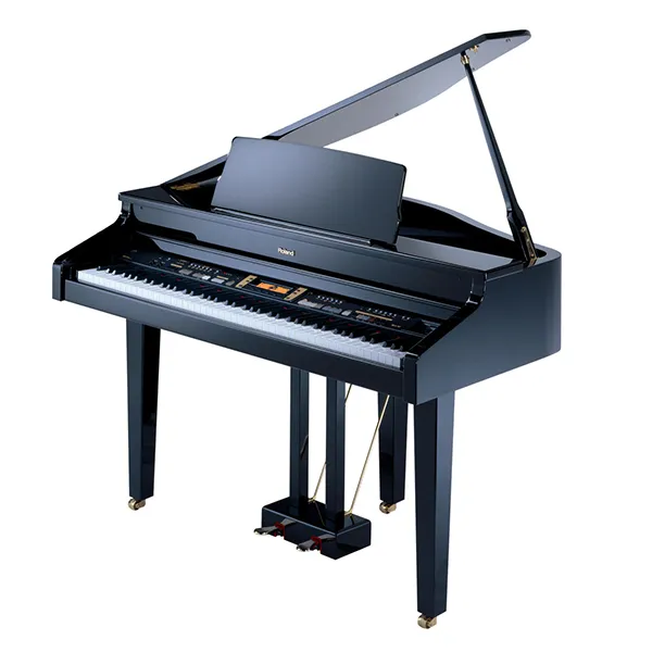 Music City – Tổng Kho Piano, Guitar, Organ | Dịch Vụ Giáo Dục Âm Nhạc