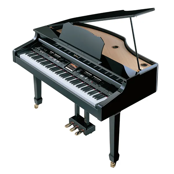 Music City – Tổng Kho Piano, Guitar, Organ | Dịch Vụ Giáo Dục Âm Nhạc