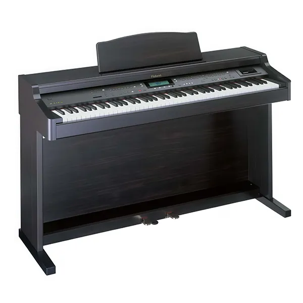 Music City – Tổng Kho Piano, Guitar, Organ | Dịch Vụ Giáo Dục Âm Nhạc