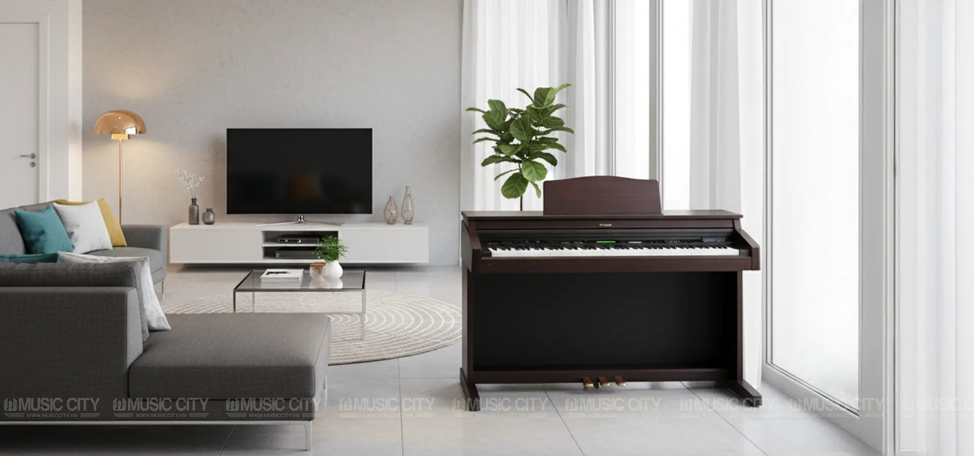 Music City – Tổng Kho Piano, Guitar, Organ | Dịch Vụ Giáo Dục Âm Nhạc