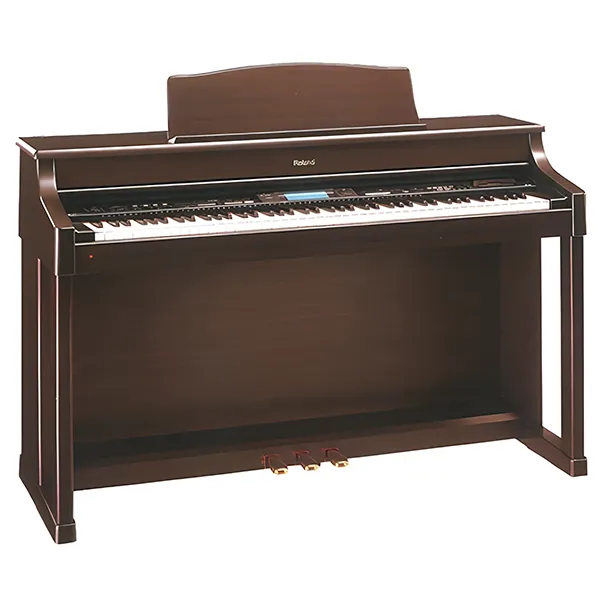 Music City – Tổng Kho Piano, Guitar, Organ | Dịch Vụ Giáo Dục Âm Nhạc