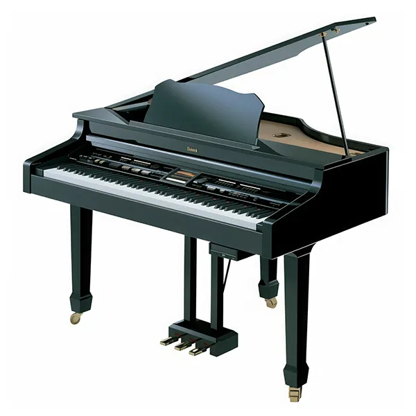 Music City – Tổng Kho Piano, Guitar, Organ | Dịch Vụ Giáo Dục Âm Nhạc