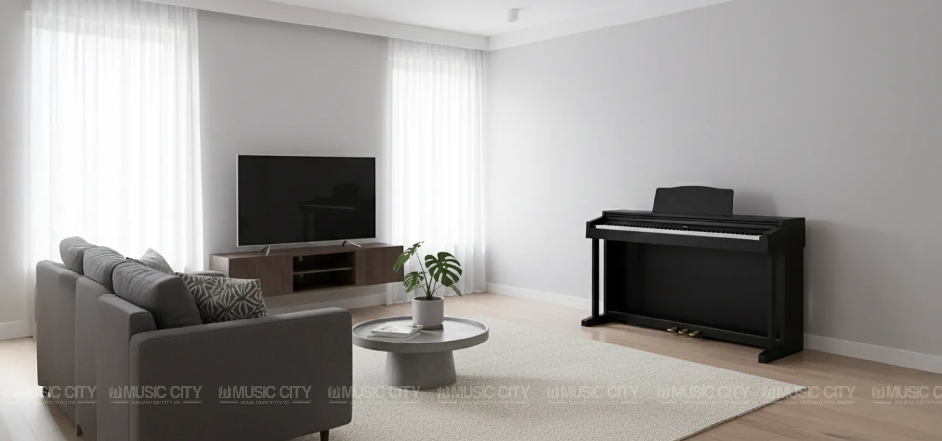 Music City – Tổng Kho Piano, Guitar, Organ | Dịch Vụ Giáo Dục Âm Nhạc