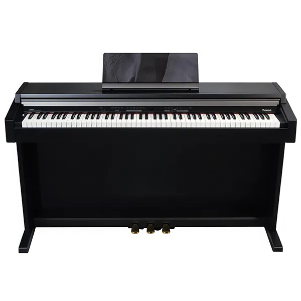 dan-piano-roland-mp60-musiccity
