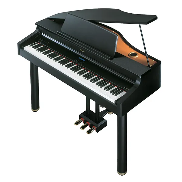 Music City – Tổng Kho Piano, Guitar, Organ | Dịch Vụ Giáo Dục Âm Nhạc