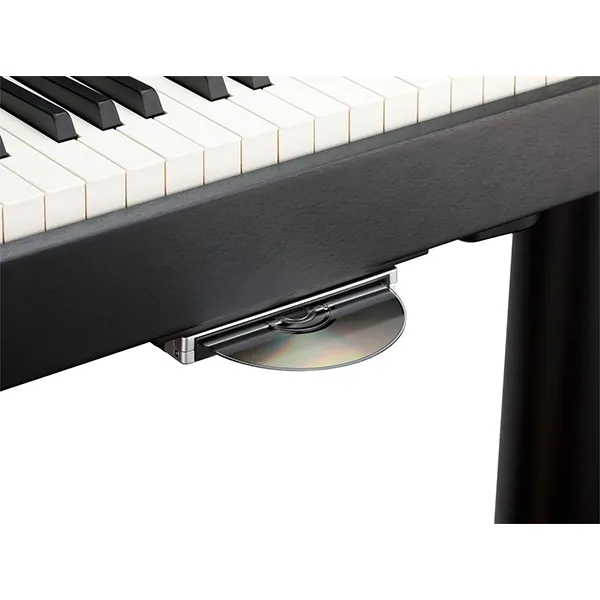 Music City – Tổng Kho Piano, Guitar, Organ | Dịch Vụ Giáo Dục Âm Nhạc
