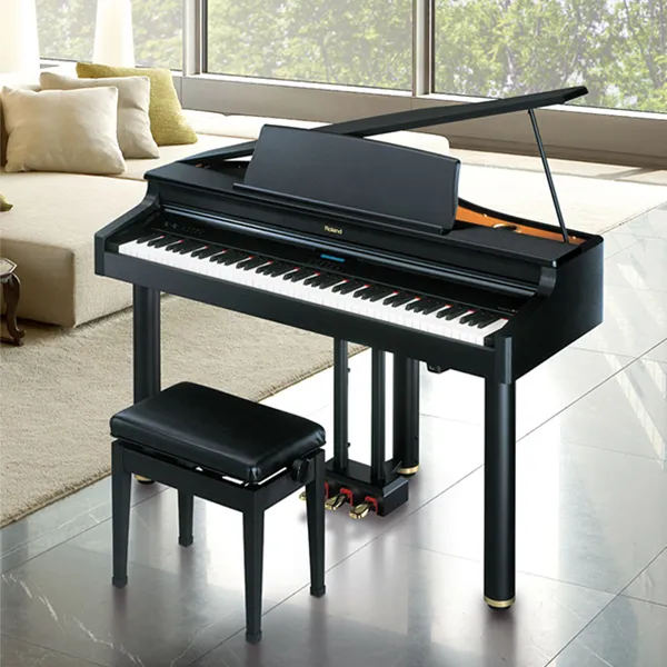 Music City – Tổng Kho Piano, Guitar, Organ | Dịch Vụ Giáo Dục Âm Nhạc