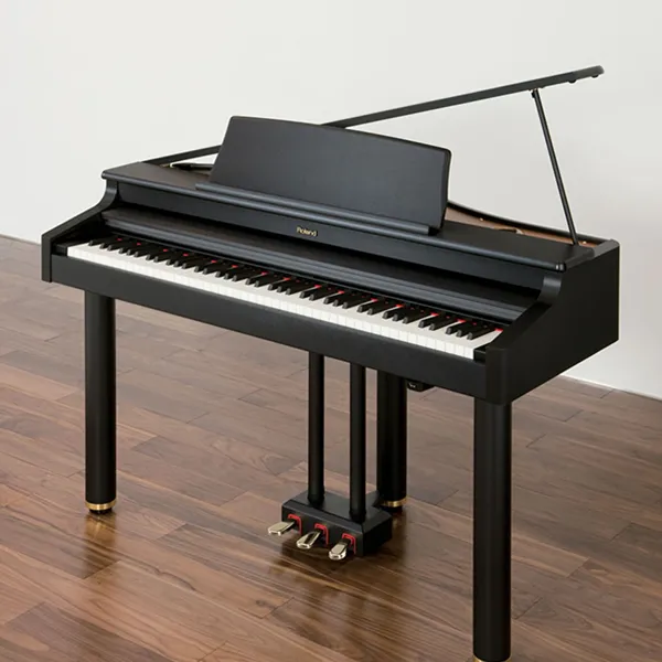 Music City – Tổng Kho Piano, Guitar, Organ | Dịch Vụ Giáo Dục Âm Nhạc